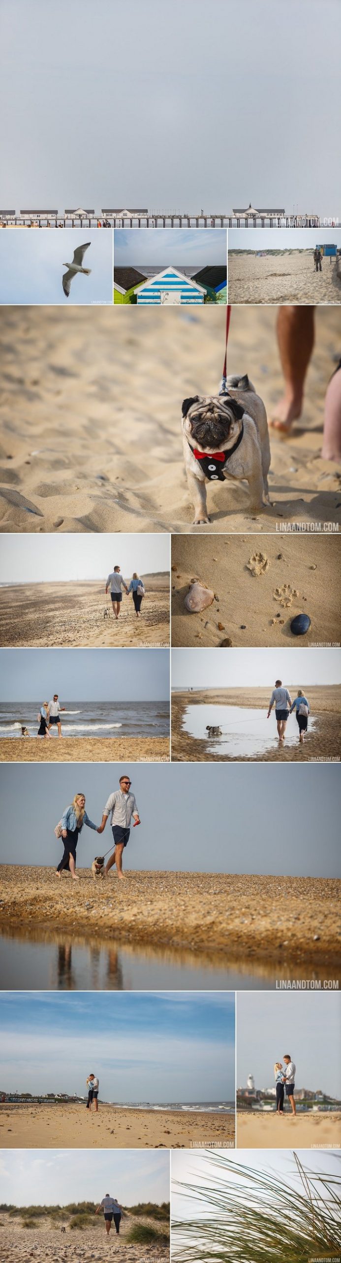 Southwold beach pre wedding shoot with cute pug