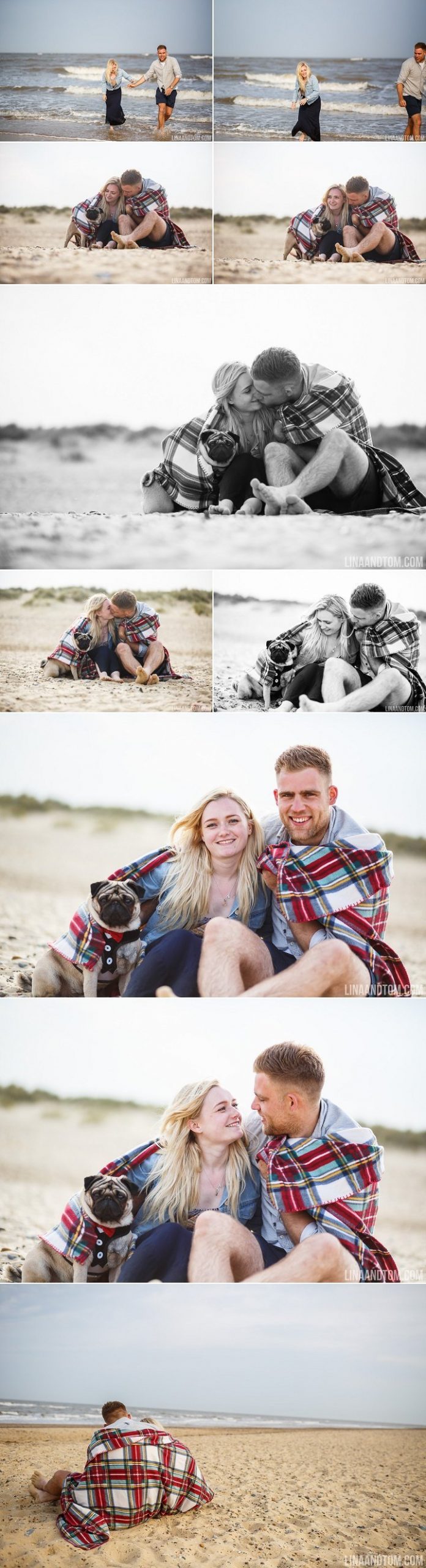 Southwold beach pre wedding shoot with cute pug