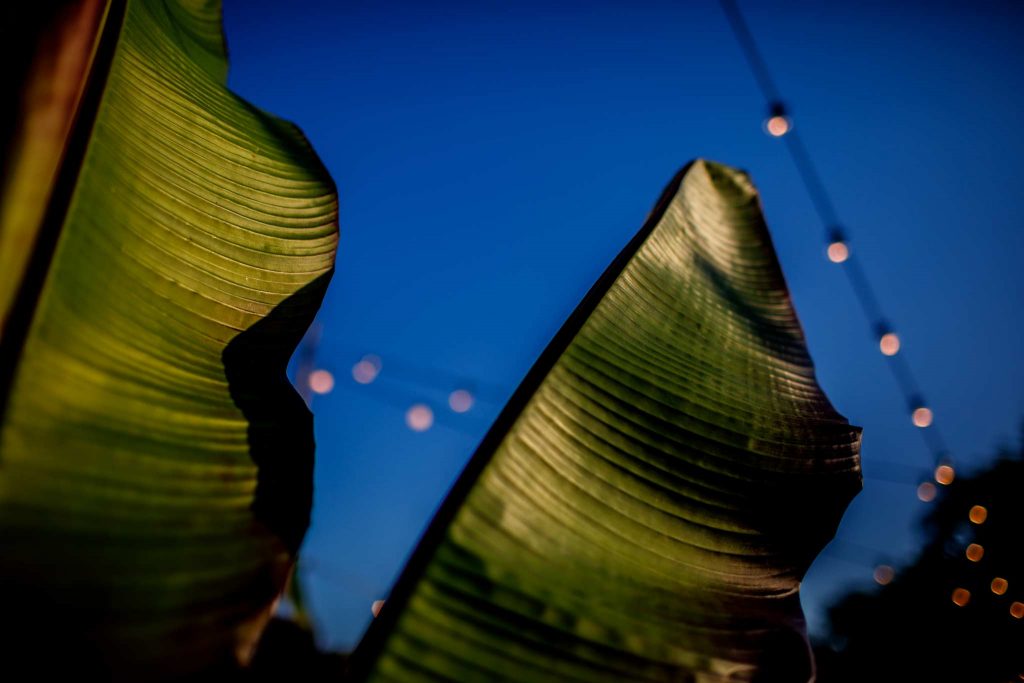 Best Wedding Photography