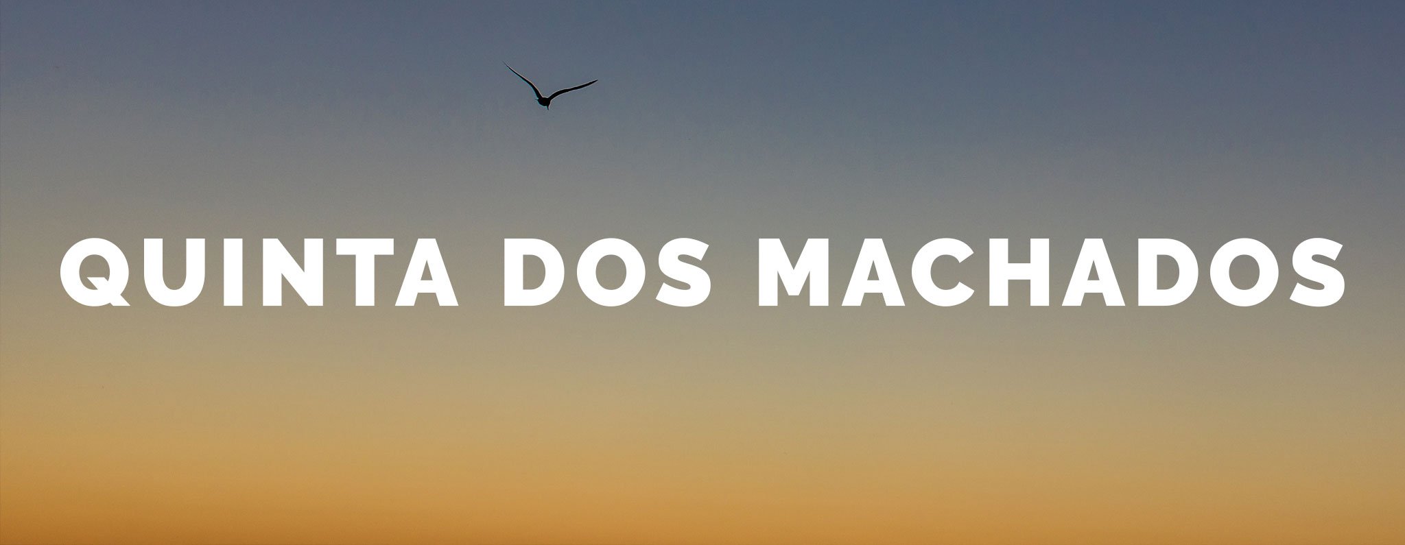 Quinta dos Machados photographer